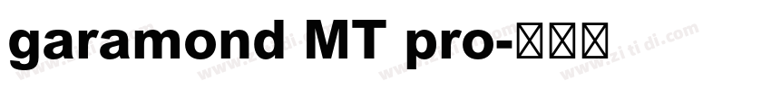 garamond MT pro字体转换